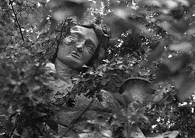The cemetery of St. Marx is where Wolfgang Amadeus Mozart was buried in a mass grave.