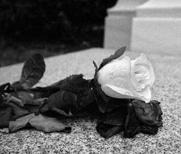 This artificial rose rests on the tomb of the composer Johannes Brahms, buried on the Zentralfriedhof, the central cemetery of Vienna