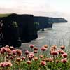 The Coast of Ireland is diverse and thus attractive for Sailors