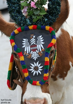 Traditional clothing, called 'Tracht', is still common in Austria