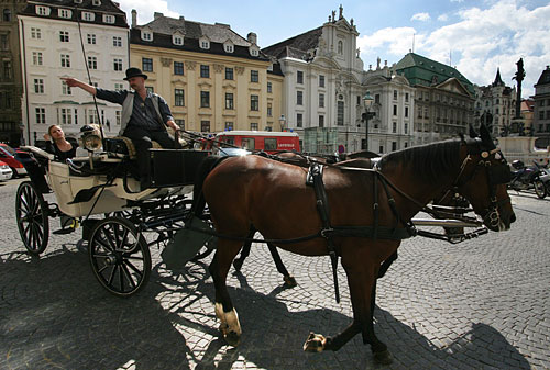 Horse and carriage (Fiaker) showing tourists around on Am Hof Square