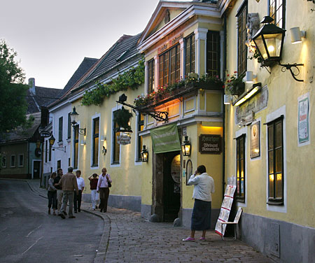 A Heuriger, a traditional wine inn, in super-touristy Grinzing