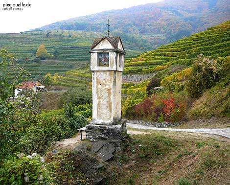 Growing wine has been a business in the Wachau since Romano-Celtic days